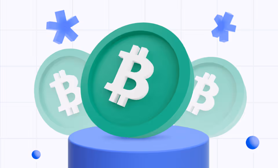 A Basic Guide to Bitcoin Cash (BCH)