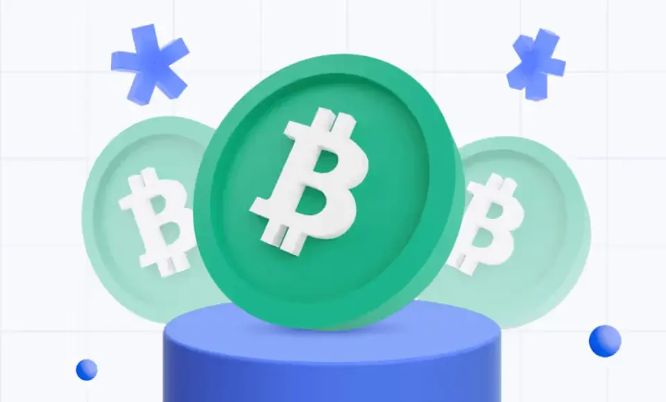 A Basic Guide to Bitcoin Cash (BCH)