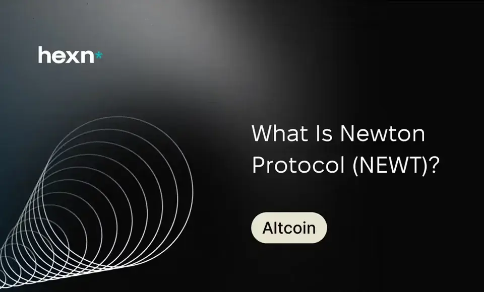 What Is Newton Protocol (NEWT)?