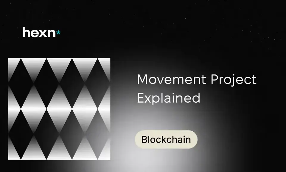 Movement Project Explained