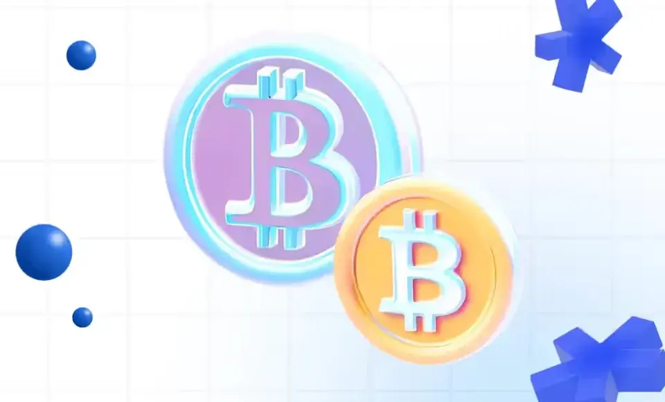 Bitcoin Whitepaper Overview