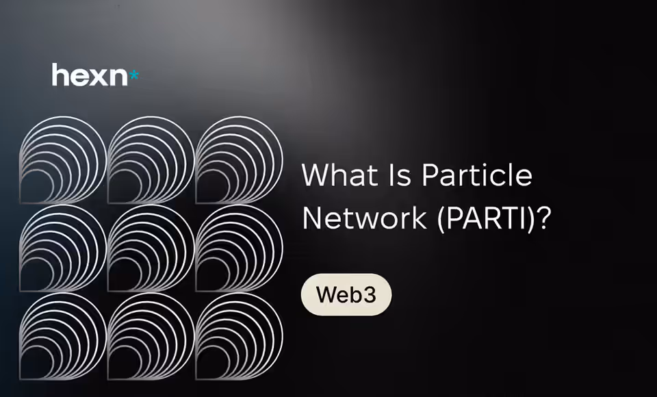 Particle Network (PARTI) Nedir?