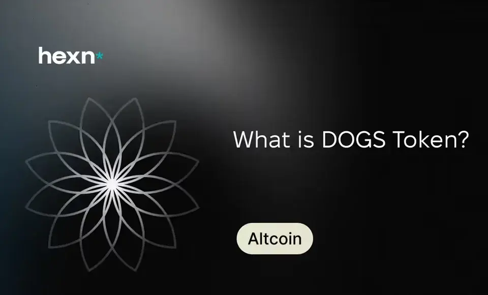What is DOGS Token?