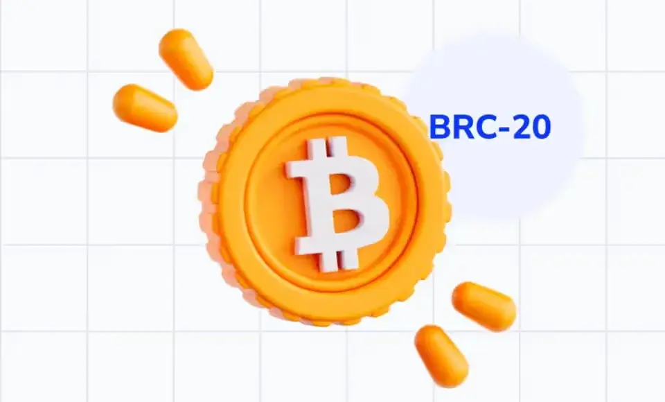 What Are BRC-20 Tokens?