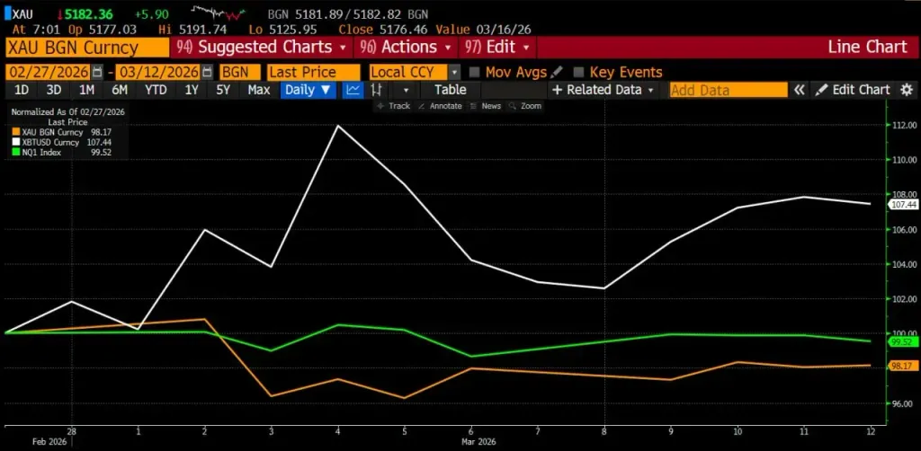photo_2026-03-13 13.50.51.webp
